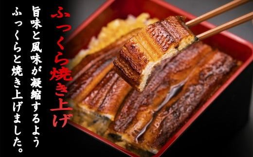 藁焼き かつお タタキ うなぎ 蒲焼き 高知県産 定期便 6回 91-28 【高知満喫定期便】厳選!!藁焼きかつおのタタキ2節と高知県産うなぎの蒲焼き2尾セット×6回定期便 かつおのタタキ 2節 約290～350g うなぎの蒲焼き 2尾 約170～180g 特製ぽん酢 特製タレ 高知名物 グルメ ふるさと納税 返礼品 安芸市 高知県