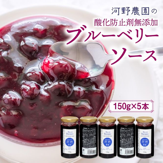 河野農園の酸化防止剤無添加ブルーベリーソース150g×5本_1450R