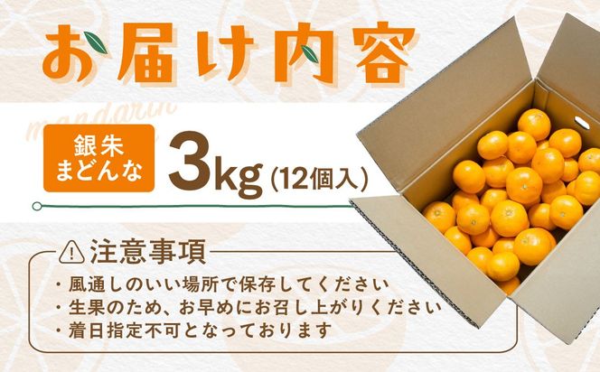 【先行受付】【数量限定】銀朱まどんな（生果）12個入り（3kg)（2026年11月下旬頃より順次発送） IKTQ007