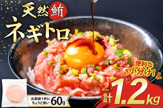 【準備でき次第発送】 マグロ ネギトロ 天然 まぐろたたき 冷凍 60g 20パック 計1.2kg 小分け FY03 [トライ産業 静岡県 吉田町 22424332] まぐろ 鮪 冷凍 個包装 刺身 海鮮丼 ねぎとろ 手巻き寿司 ふるさと納税
