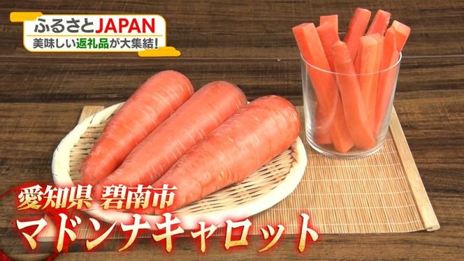 （2027年発送：先行受付）≪『満天☆青空レストラン』で紹介されました！≫ 訳あり にんじん 新玉ねぎ 定期便 2回　旬の美味しい季節にお届け マドンナキャロット 人参 ニンジン 旬玉 玉ねぎ たまねぎ 野菜 やさい 国産 碧南市 健康 食品ロス削減 甘い 先行予約 旬 特産 高評価 高リピート 人気　H105-272