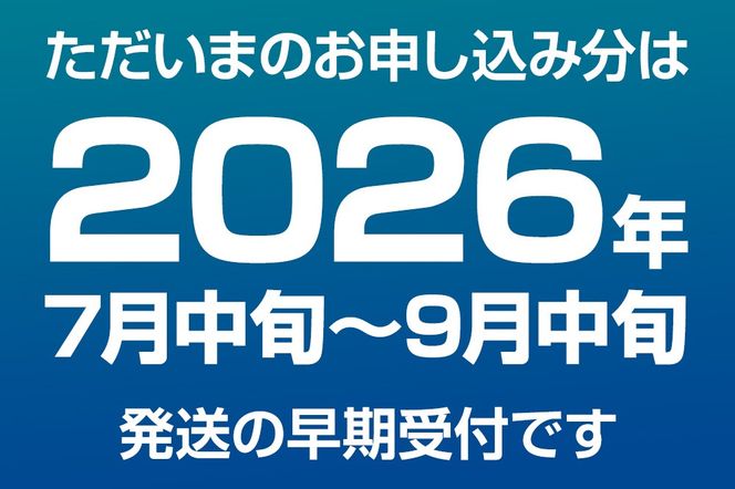 ババヘラ・メロンバラ盛りカップアイス6個セット【進藤冷菓】 ご当地アイス|23_sdr-030601