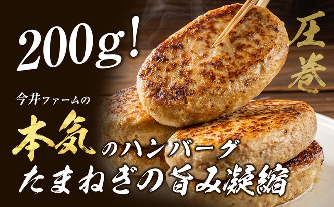 淡路島たまねぎどっさりジャンボハンバーグ 200g×25個　　ジューシー 合挽 人気 ハンバーグ