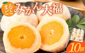 みかん大福　10個入り【贈答・熨斗対応】10個 職人仕立て 和菓子 フルーツ大福 白餡 お餅 冷凍 フルーツ デザート みかん 餡子 手作り おやつ スイーツ 冷蔵解凍 お取り寄せ グルメ 愛知県 小牧市 送料無料 ［009B16］ 
