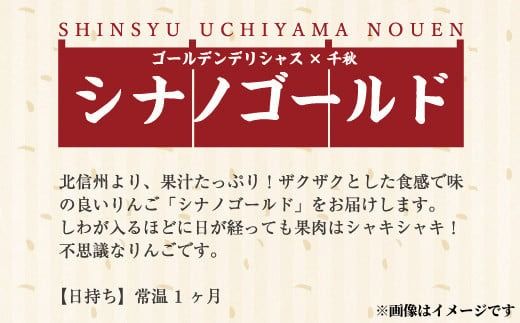 シャキシャキして味が濃い『シナノゴールド』 約5kg (約12～16玉) 《信州うちやま農園》■2025年発送■※10月中旬頃～11月中旬頃まで順次発送予定