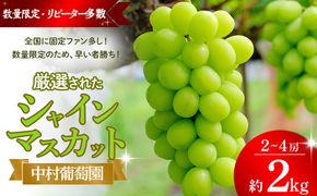 【2027年/令和9年発送分】中村葡萄園 シャインマスカット 2kg箱　人気　おすすめ　国産　贈答　ギフト　お取り寄せ　山梨県産　産地直送　フルーツ　果物　くだもの　ぶどう　ブドウ　葡萄　シャイン　シャインマスカット　新鮮　N-5