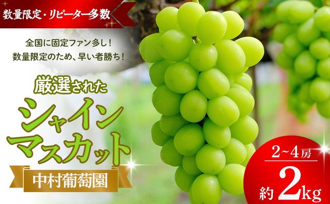 【2027年/令和9年発送分】中村葡萄園 シャインマスカット 2kg箱　人気　おすすめ　国産　贈答　ギフト　お取り寄せ　山梨県産　産地直送　フルーツ　果物　くだもの　ぶどう　ブドウ　葡萄　シャイン　シャインマスカット　新鮮　N-5