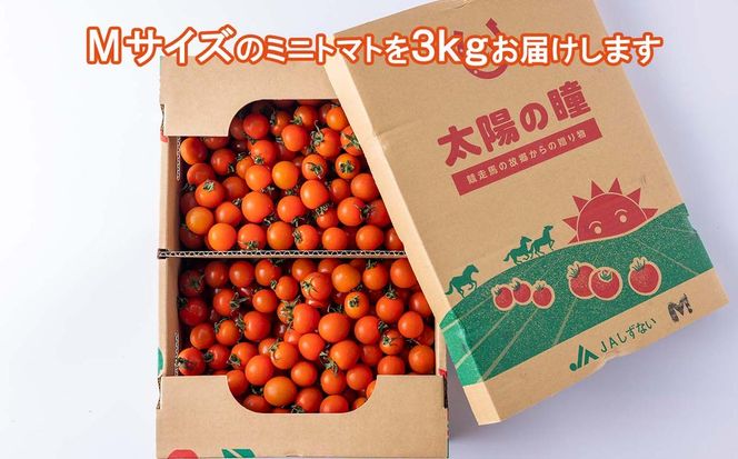 ＜ 9/15までの受付 ＞ 北海道産 ミニトマト 太陽の瞳 M サイズ 3kg 新ひだか町