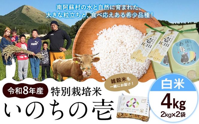 令和8年産 特別栽培米 いのちの壱 白米 4kg 雑穀米付き 虹色のかば《30日以内に出荷予定(土日祝除く)》熊本県 南阿蘇村 熊本県産 お米 こめ コメ 米 精米---sms_inci6_30d_r8_13500_h4kg---