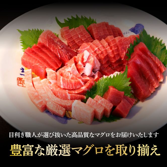 本マグロ 本鮪 大トロ・中トロ 各500g・赤身200g まぐろ3種盛セット まぐろ マグロ 赤身 刺身 マグロ丼 海鮮丼 魚 海鮮 魚介 おかず 冷凍 配送【株式会社大熊】 [BQAA038]
