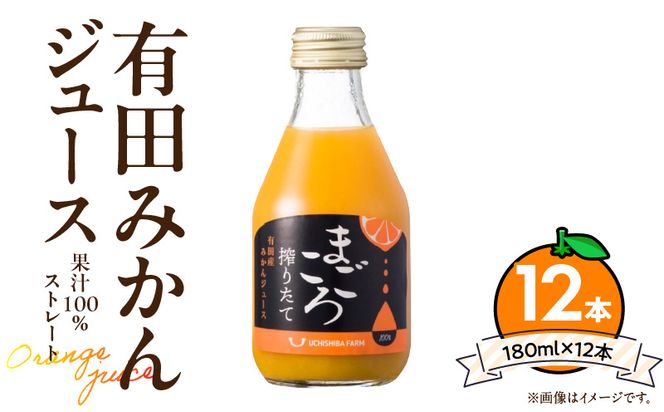 【まごころ搾りたて】有田みかん100%ジュース 180ml×12本_ZE6463