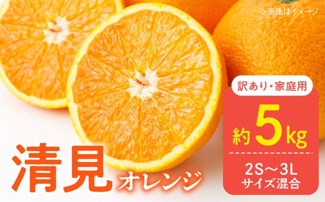 DZ6106_訳あり 家庭用 きよみ 清見オレンジ 和歌山 有田 2S～3Lサイズ混合 5kg