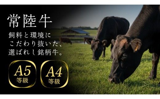 【常陸牛】すき焼き しゃぶしゃぶ用 ( 赤身 450g )( 霜降 400g ) 食べ比べ セット ( 茨城県共通返礼品 ) 牛肉 国産 お肉 肉 すきやき すきやき肉 A4 A5 ブランド牛 黒毛和牛 和牛 国産黒毛和牛 国産牛 [BM048us]