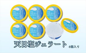 Made in 土佐★天日塩ジェラート6個（高知アイス）