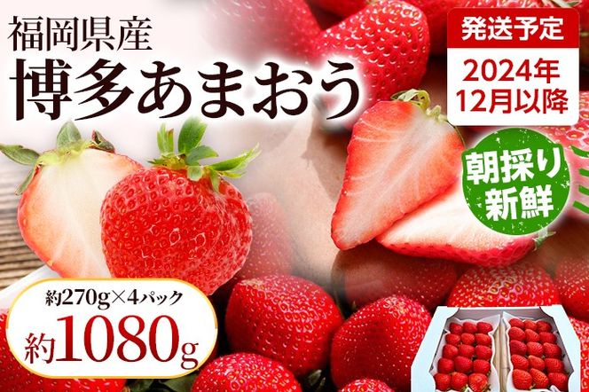 【先行受付】農家直送 朝採り新鮮いちご【博多あまおう】＜12月より順次発送＞ 約270g×4パック 福岡県産 苺 イチゴ 朝採れ 冷蔵 スイーツ ジュース ギフト プレゼント お土産 九州 福岡土産 ※北海道・沖縄・離島は配送不可