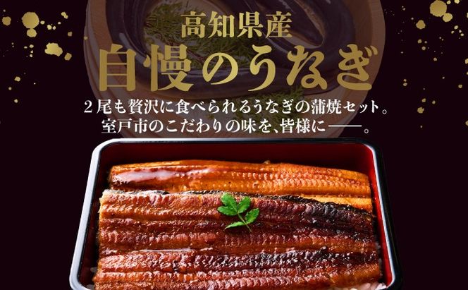 【定期便 6回】ヤマジュウ厳選 国産 ウナギ 蒲焼き 2尾(1尾あたり約175g～180g)×6回 6ヶ月 タレ付き 鰻 うなぎ かば焼き 加工品 魚 魚介類 高知県産 冷凍 送料無料　yj047