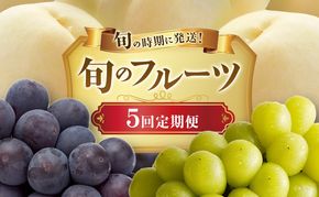 【2026年先行受付】 白桃 ニューピオーネ シャインマスカット 晴王 5回 定期便 桃 もも モモ ぶどう 葡萄 ブドウ 岡山県産　御中元 ギフト 御礼 プレゼント 御礼 御祝 御供 果物 くだもの フルーツ
