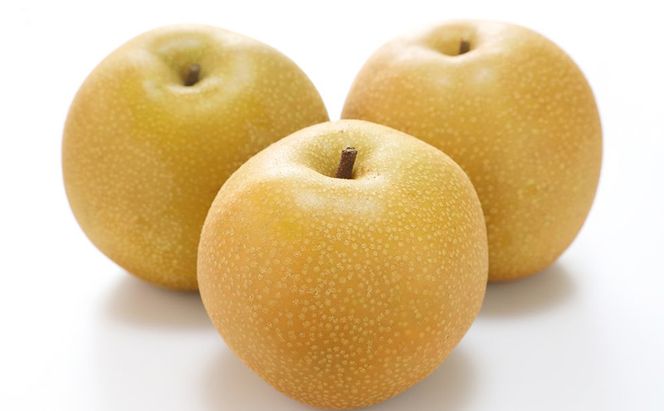 フルーツ 定期便 2026年 先行予約  晴れの国 岡山 の 旬の フルーツ 定期便 6回コース 白桃 ぶどう 梨 岡山県産 国産 フルーツ 果物 ギフト 