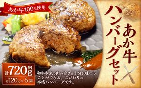 あか牛100％ハンバーグセット（あか牛ハンバーグ約120g×6個） 合計720g あか牛 ハンバーグ 牛肉 お肉 肉 褐牛 褐毛和種 和牛 国産牛 セット 熊本県 上天草市 冷凍