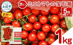 【訳あり】【全5回定期便】【先行予約】訳あり 赤いミニトマトの宝石箱 約1kg〈2026年12月から配送開始〉 約1キロ 5回定期便 トマト とまと ミックス 詰め合わせ セット 野菜 料理 サラダ マリネ 浅漬け おやつ 弁当 訳アリ 家庭用 ご自宅用 高知県 土佐市【ファーム輝】 [BQBM013]