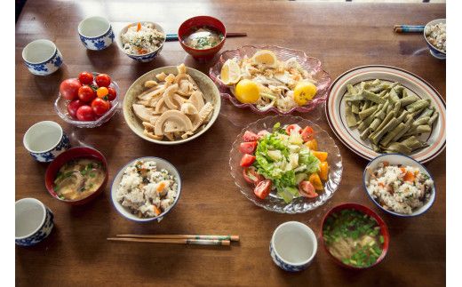 【12回定期便】【土佐野菜】旬の野菜詰め合わせ10～13品目【株式会社SIMA】 [BQAZ005]