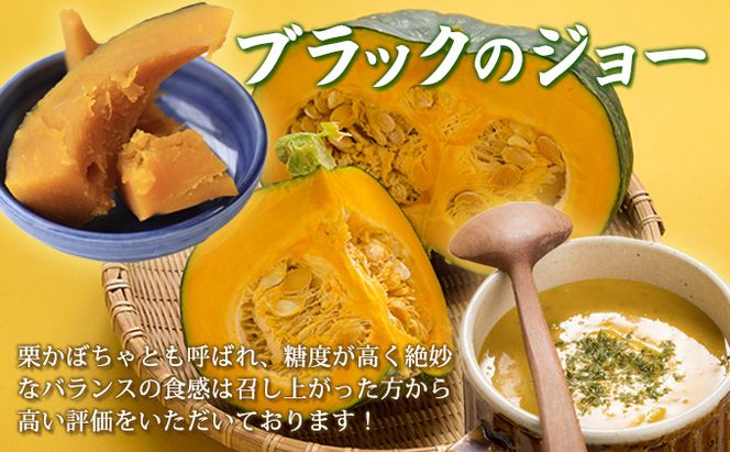 【2026年10月発送】富良野産 野菜 10kgセット じゃがいも ＆ 玉ねぎ ＆ かぼちゃ 3種 詰め合わせ