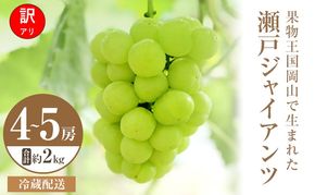 【2026年 先行予約】【訳あり品】瀬戸ジャイアンツ 4～5房 合計約2kg 冷蔵配送 ぶどう 葡萄 フルーツ 果物 岡山 岡山のぶどう 食後 デザート 産地直送 皮ごと 酸味が少ない 爽やか 甘い 