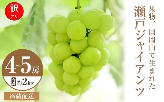 【2026年 先行予約】【訳あり品】瀬戸ジャイアンツ 4～5房 合計約2kg 冷蔵配送 ぶどう 葡萄 フルーツ 果物 岡山 岡山のぶどう 食後 デザート 産地直送 皮ごと 酸味が少ない 爽やか 甘い 