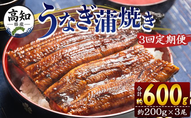 うなぎ 定期便 3回 約200g 3尾 3回 高知県産 養殖 魚介 国産 海鮮 魚 かばやき 鰻 ウナギ 惣菜 おかず お手軽 加工品 加工食品 冷凍 Wfb-0054