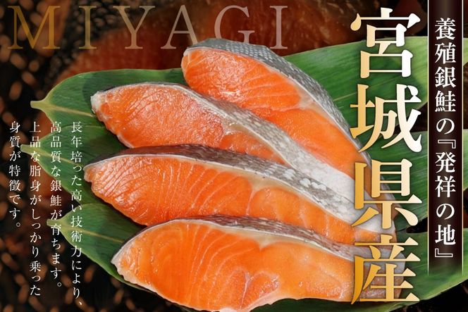 定期便 《6ヶ月連続お届け》 訳あり 宮城県産 熟成 銀鮭 切身 約2kg×6回 計12kg [宮城東洋 宮城県 気仙沼市 20564499] 魚 鮭 海鮮 国産 さけ 鮭 甘口 サケ 鮭切身 シャケ 切り身 冷凍 おかず 弁当 支援 事業者支援 サーモン