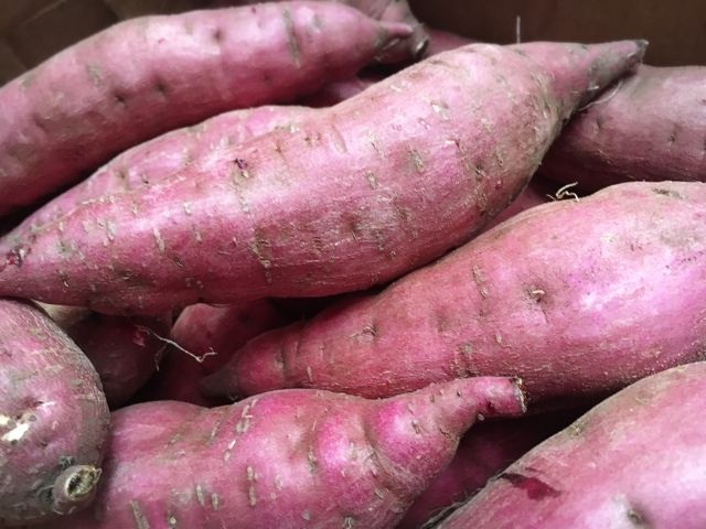 2025年度産 濃厚な甘みさつまいも 紅はるか5kg【茨城県共通返礼品/行方市】【さつまいも サツマイモ 芋 お芋 甘い ねっとり 美味しい 大量 茨城県 北茨城市 】(AK201)