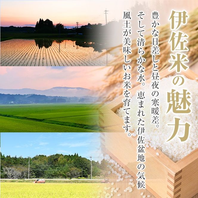A6-02 いさひかり無洗米(5kg×2袋・計10kg) ふるさと納税 伊佐市 特産品 お米 米 白米 精米 伊佐米 ご飯 ヒノヒカリ 無洗米【JA北さつま】