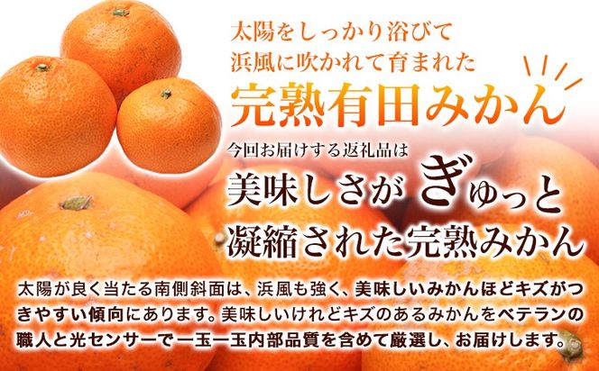 家庭用 完熟 有田みかん 5kg+250g （傷み補償分）【光センサー選果】池田鹿蔵農園@日高町（池田農園株式会社）《11月中旬-1月下旬頃出荷》和歌山県 日高町 訳あり わけあり みかん【配送不可地域あり】---wsh_idn285_11c1g_25_16000_5kg---