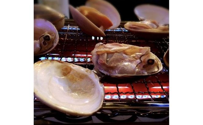 地元漁師が厳選！”天然蛤”ご注文時お勧めサイズお任せセット5kg入り 海鮮 魚介類 魚貝類 貝 はまぐり たっぷり 5kg 