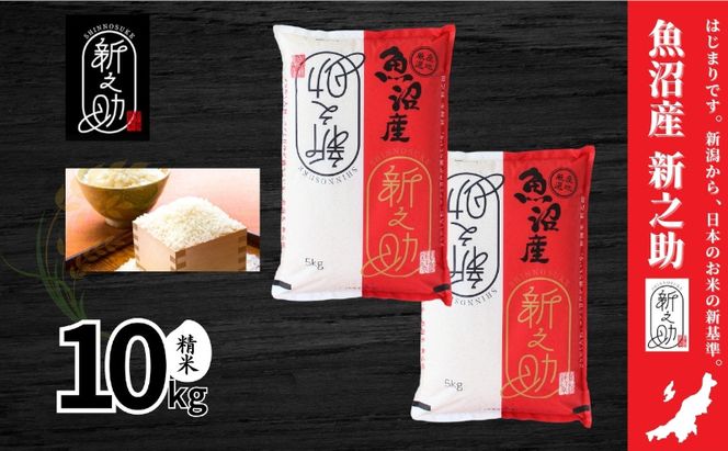 米 新之助 10kg 精米 白米 お米 新潟米新之助  新潟米 新潟 十日町市