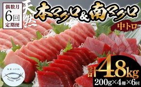 【６回定期便】本マグロ　南マグロ　中トロ　各２柵　偶数月にお届け　eb004