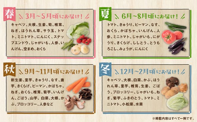 【定期便12回】【毎月お届け】八代市産！旬の農産物詰合せ 復興 福袋 7品以上 毎月 野菜 果実 果物 やさい くだもの フルーツ 合計7品目以上 セット 季節の野菜 季節の果実 春 夏 秋 冬 旬 おまかせ 定期 国産 熊本県 八代市