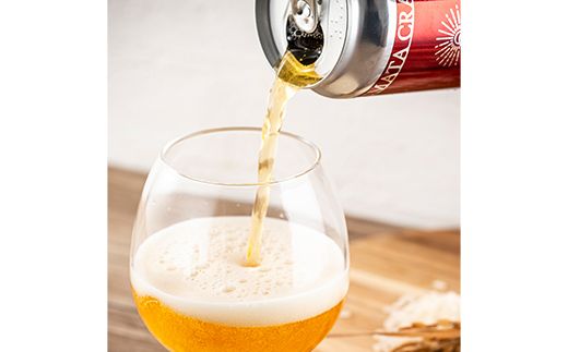 沼田町クラフトビール IPA 12缶 地ビール ビール 酒 アルコール アルコール飲料 沼田町 北海道 n-0265