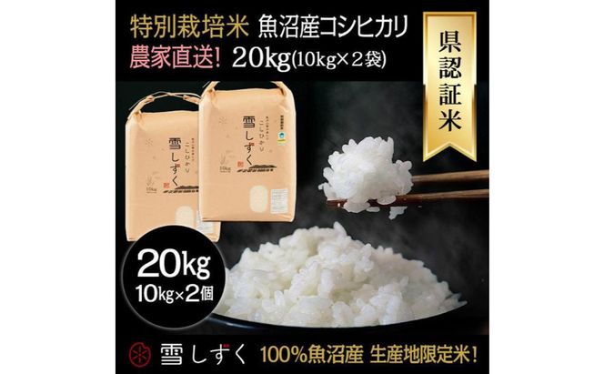 令和8年産！県認証特別栽培魚沼産コシヒカリ【農家直送！】 10kg×2袋 お米 米 コメ