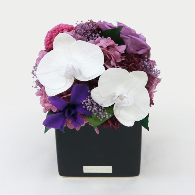 胡蝶蘭キューブM 花 お花 プリザーブドフラワー ギフト プレゼント お祝い 誕生日 お供え アレンジ インテリア 東京都 墨田区