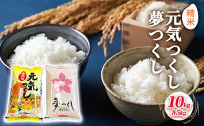 米 10kg 食べ比べ セット 元気つくし 5kg 夢つくし 5kg こめ コメ お米 精米 白米 
