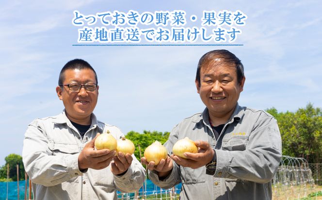 【新たまねぎ】名手農園の淡路島特産玉ねぎ(5kg)とお米(3kg)【発送時期2026年3月～5月頃】 玉ねぎ