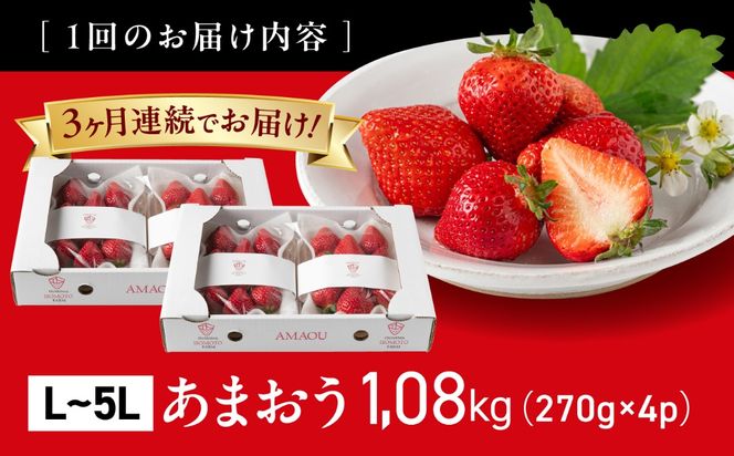 【全3回定期便】【農園直送】糸島のあまおう 270g×4パック (サイズおまかせL〜5L) 果物 フルーツ いちご / 糸島市 / 磯本農園 / TANNAL[ATB011]