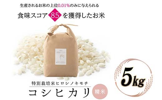 特別栽培米 コシヒカリ ヒロシノキモチ 精米 5kg ブランド米 銘柄米 国産 米 お米 日本米 ギフト 贈り物 備蓄 防災 食品 陽咲玲 はるざれ F6T-984