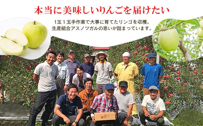 りんご【1月・2月発送】糖度13度以上 訳あり品 家庭用 王林 約5kg【青森りんご 果物 フルーツ デザート 食後 青森県産 産地直送 贈り物】