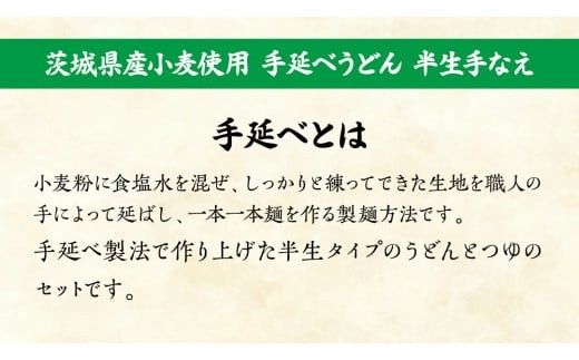 手延べうどん 半生手なえ 2袋 ( 4人前 ) スープ付き 麺 めん 半生 [BE008ci]