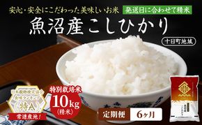 【6ヶ月定期便】特別栽培米 魚沼産こしひかり(十日町地域) 精米 10kg(5kg×2) 米 お米 コシヒカリ 定期 十日町市