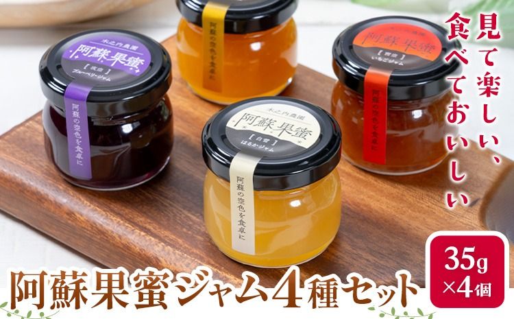 阿蘇果蜜ジャム4種セット 35g×4本 木之内農園 ジャム[30日以内に出荷予定(土日祝を除く)] 熊本県南阿蘇村 ジャム いちご ブルーベリー はるか 不知火 苺 大粒 乗せるジャム---isms_kinoaskmt_30d_r7_7000_4p---