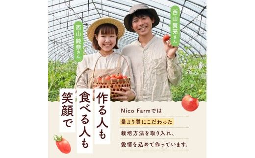 【定期便全3回】NicoFarm トマトジュース 180ml 30本×3回_Y124-0042