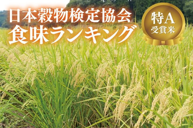 【全3回定期便】＜毎月＞ 山﨑観光農園のお米 とちぎの星 白米 5kg（合計 15kg）単一原料米 100% ｜栃木県 益子町 ふるさと納税 お米 米 白米 精米 5kg 3ヵ月 令和7年産 定期便（AU035）